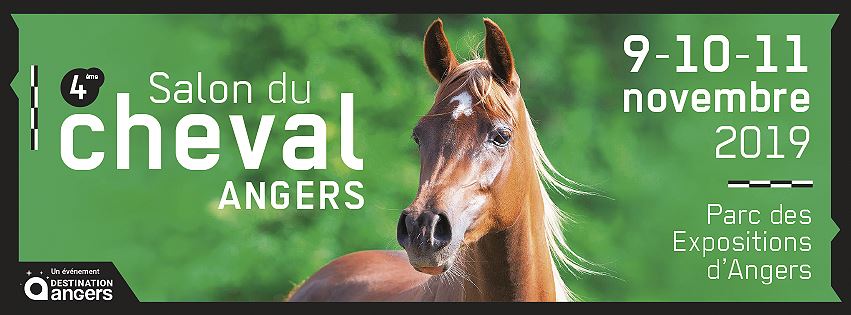 Les "Etoiles Équestres 2019" au Salon du Cheval d'Angers
