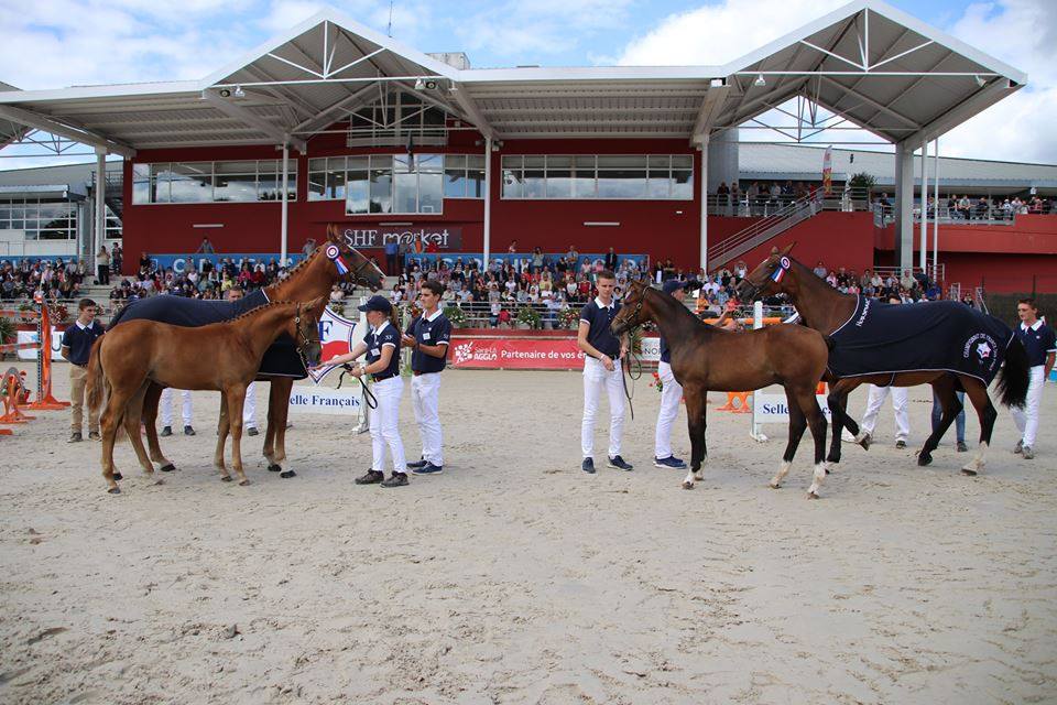 La Région Centre Val de Loire de nouveau bien représentée à la finale des foals SF à St Lô