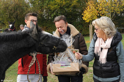 Foire de la Saint MArtin à la Bazeoches Gouet : Concours Percherons