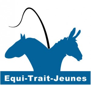 Challenge des Equi-Trait-Jeunes 2018 : une étape à Lamballe du 11 au 13 mai 2018