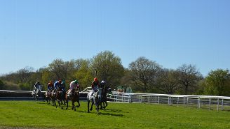 Courses à l'hippodrome de Lignières