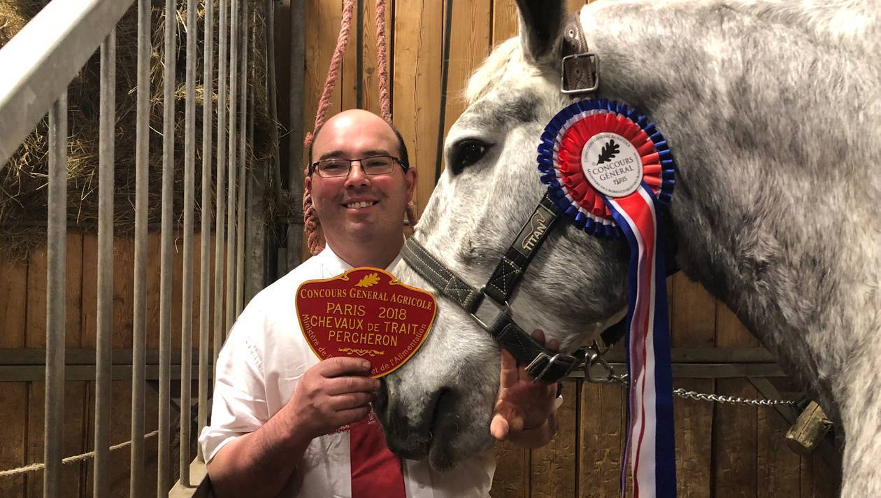 Un Percheron Mayennais récompensé au Salon de l'Agriculture