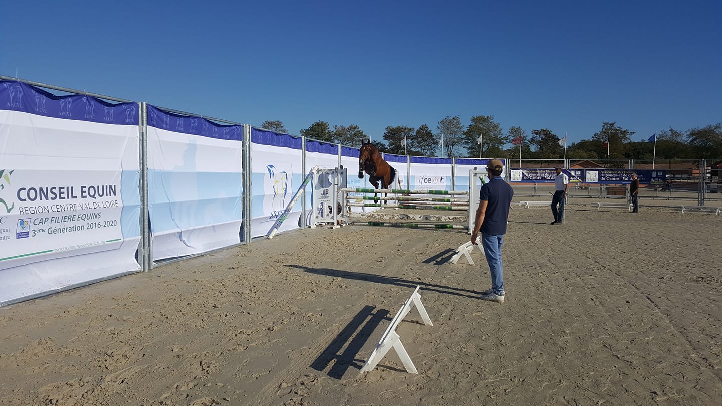 Concours régional modèle et allures chevaux et poneys de sport 3 ans à Lamotte Beuvron