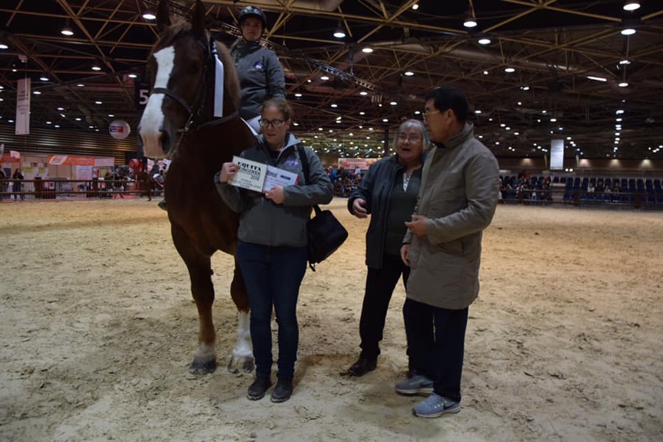 Victoire d'un cheval de trait breton à la Finale Loisirs à Equita'Lyon