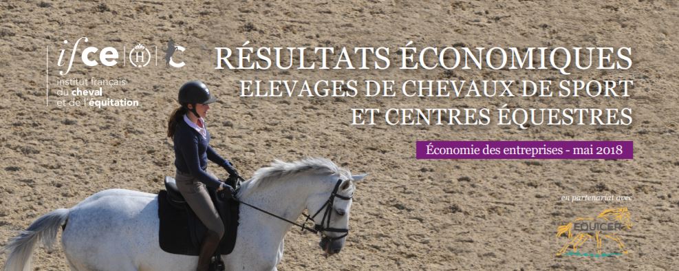 Quels sont les résultats économiques des centres équestres et des élevages de chevaux de sport ?