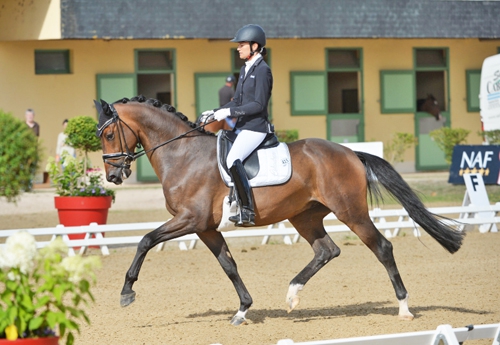 2 Jeunes Chevaux de dressage du Haras de Hus aux championnats du Monde