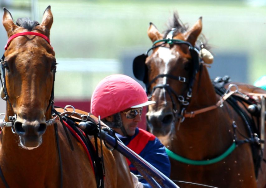 Aubrion du Gers conserve le Grand Prix des Ducs de Normandie