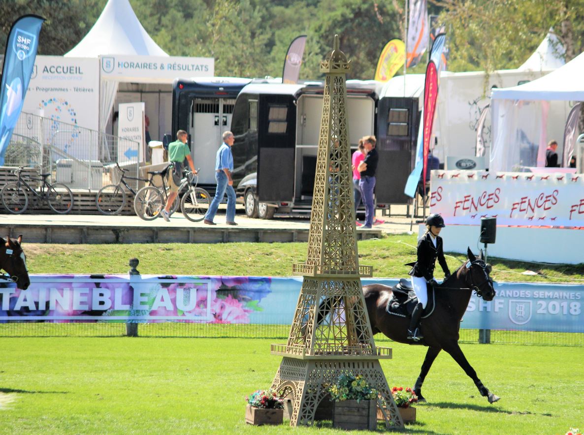 Cycles Libres : Plusieurs chevaux issus d'élevages de Bourgogne Franche-Comté classés à Fontainebleau