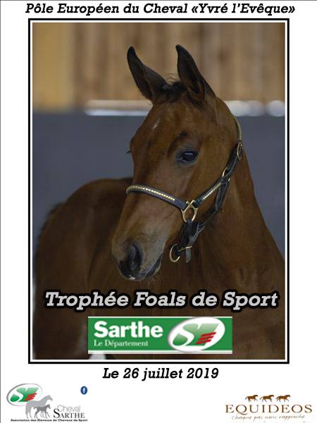 Trophée des foals de Sport - Sarthe