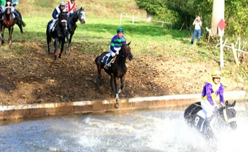 Réunion mixte à l'Hippodrome de Nuillé-sur-Vicoin