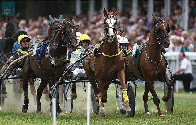 Réunion de Trot à Hippodrome de Vibraye