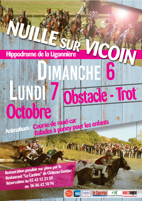 Réunion d'obstacle et de trot à Nuillé sur Vicoin