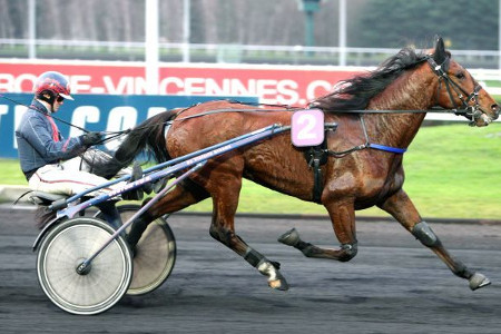 Réunion de Trot à l'Hippodrome de Château-du-Loir