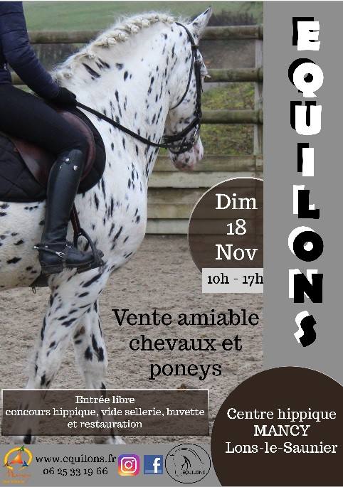 EQUILONS