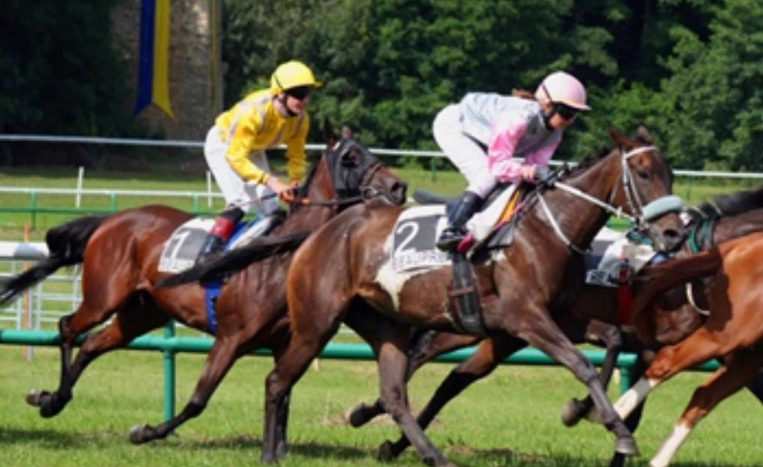 Réunion mixte à l'Hippodrome de Beaupréau