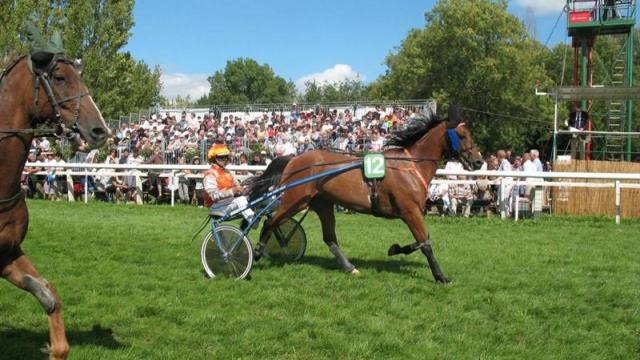 Réunion mixte à l'Hippodrome de Vertou