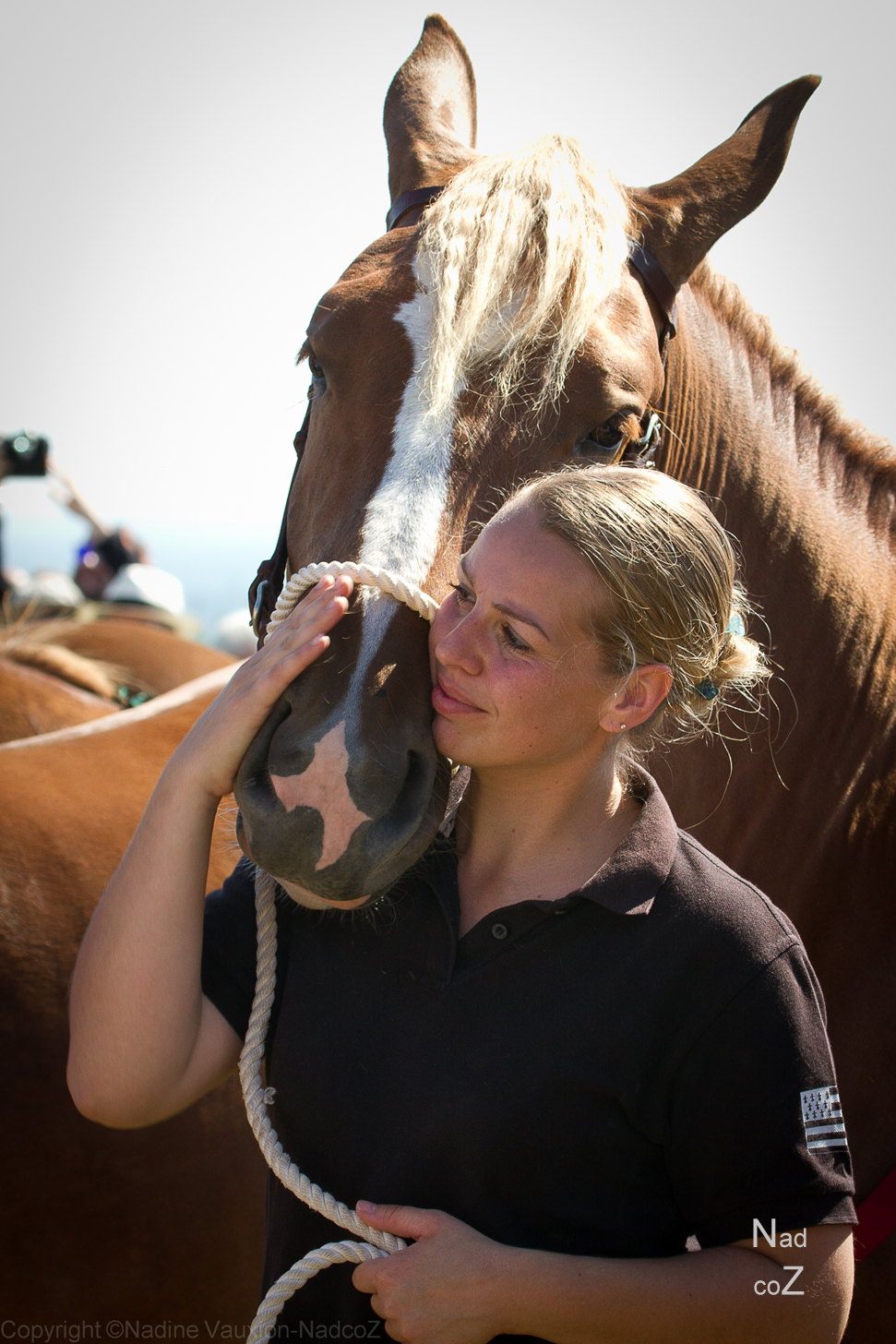 Exposition de photos "un cheval trait très breton" par le Guingamp Photo Club du lundi 19 mars au samedi 7 avril