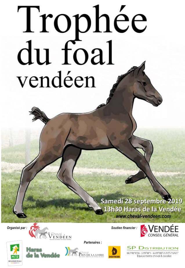 Trophée du foal vendéen