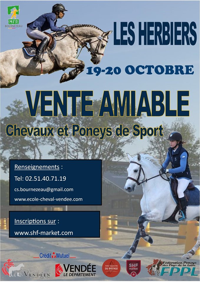 Vente amiable de chevaux et poneys de sport