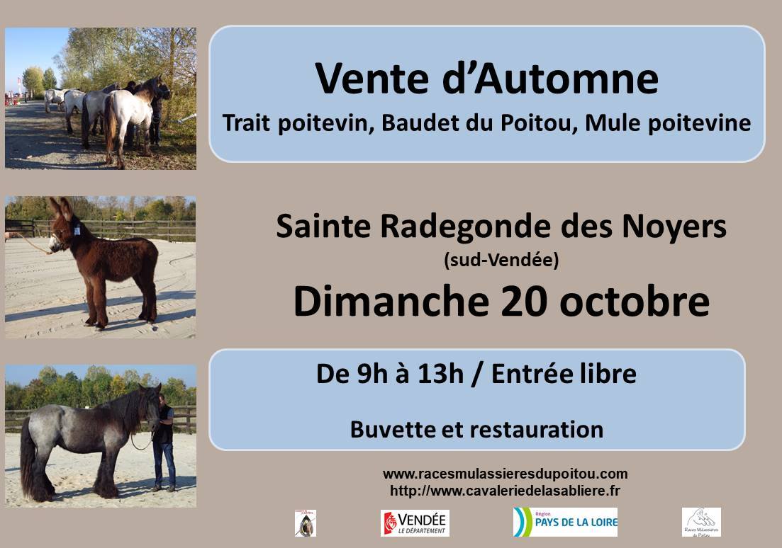 Vente d'automne Trait Poitevin, Baudet du Poitou et Mule Poitevine à Sainte Radegonde des Noyers