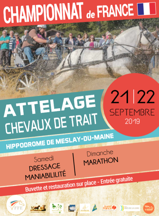 Championnat de France d'attelage pour chevaux de trait à Meslay du Maine