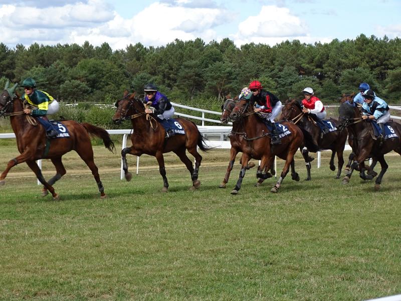Réunion de Trot à l'Hippodrome de Blain-Bouvron-Le-Gavre